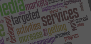 Wealth Management Solution